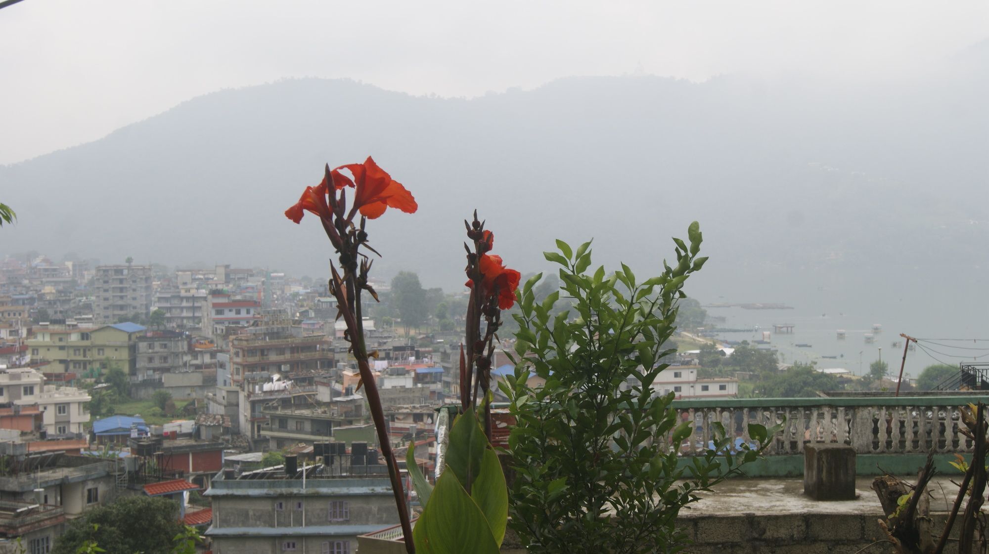 Peace Guest House Pokhara Exterior foto