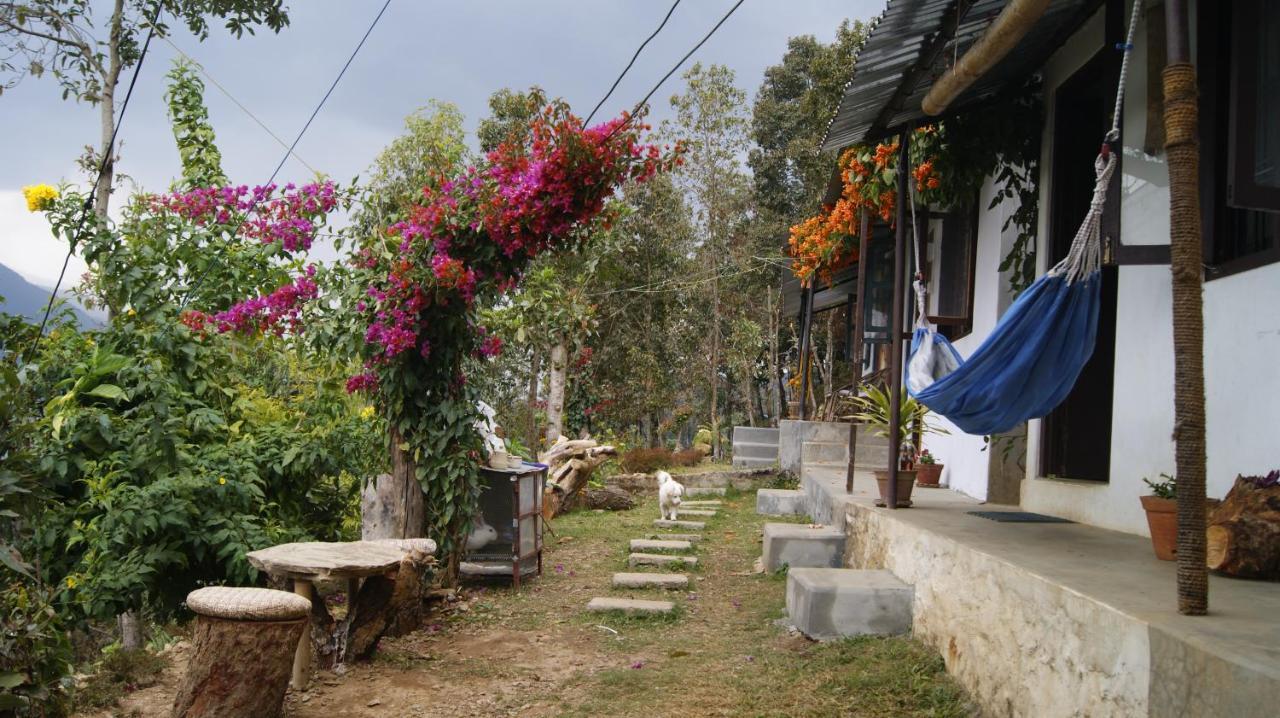 Peace Guest House Pokhara Quarto foto